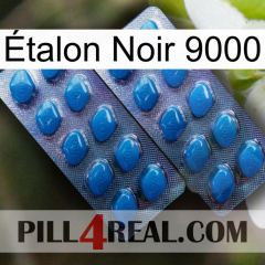 Étalon Noir 9000 viagra2